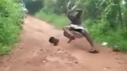 Funny videos