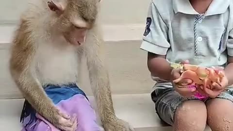 Viral monkey funny videos.🐒🤔🤔