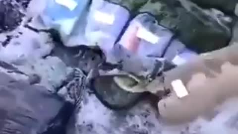 #Ukraine Footage appears to show evidence of Russian soldiers giving up the fight on Day 1,