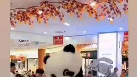 crazy panda