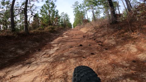 Sandy Downhill from the Wheel Mount