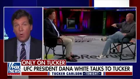 UFC President Dana White talks to Tucker Carlson