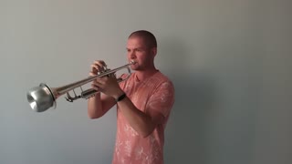 Miley Cyrus feat Dua Lipa Prisoner (trumpet cover)