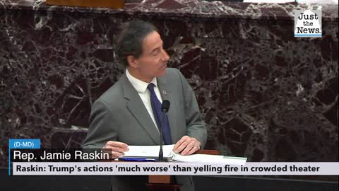 Raskin on impeachment: Trump's actions 'much worse' than yelling fire in crowded theater