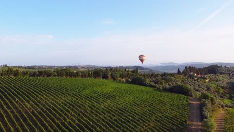Hot air balloons in flight over the Chianti Classico territory "Gallo Nero"
