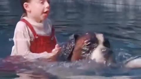dogs save little kids who make you cry