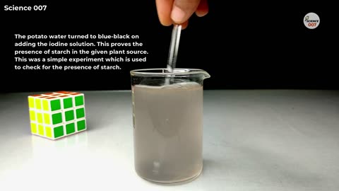 4 Science Simple Experiments for School _ Science Easy Experiments to do at Home