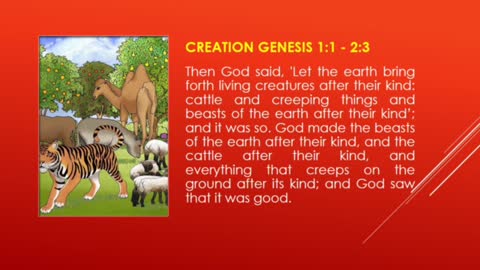 Sunday School; God's Creation Story