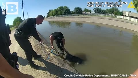 PUMPKIN SPICE RESCUE? Officers Lure Dog Stuck in Canal Using Pumpkin Muffin