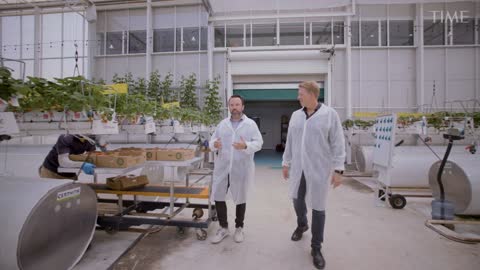 How One Company Uses Technology to Grow Tomatoes in the Desert