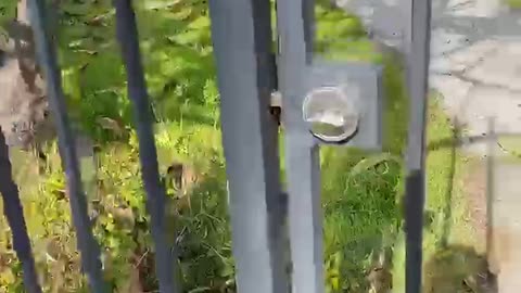 Insecure Security Gate