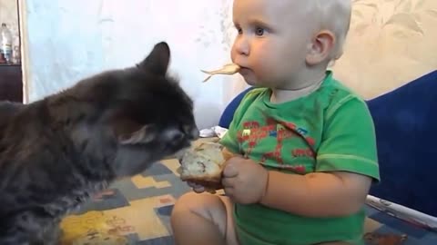 Baby and cat eating