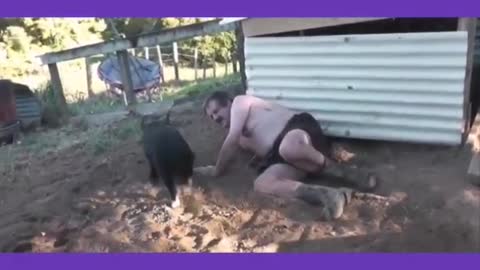 Funny animals I with a pig