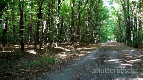 Silent Space: A Whispered Journey into Meditation