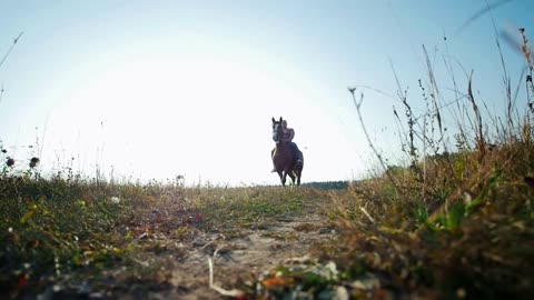 Athletic man on horseback walking on the field