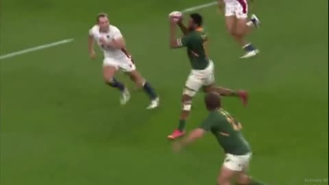 Springbok Mapimpi LEAVING Am HANGING since 2019!!