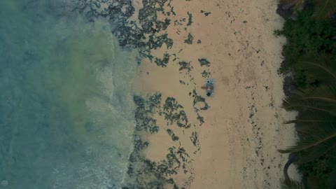 Drone incredibly captured footage of women on the beach