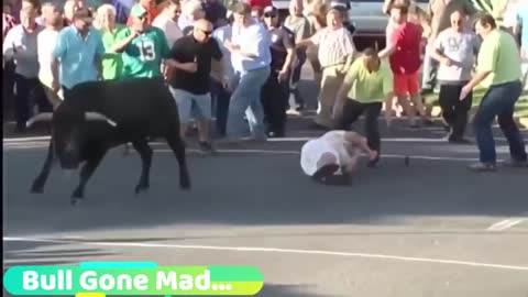 Funny Bull Fight with Public | Funny Fails 2019