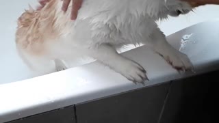 he likes to shower