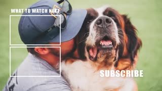Dog training explanation video for starters!!| +TIPS