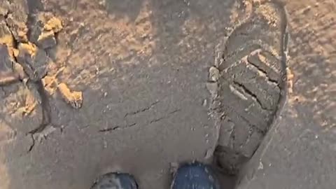 Sinking Into Soft Sand After Heavy Rainfall