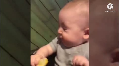 Baby funny videos