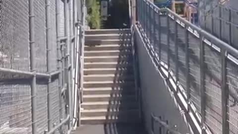 Guy goes for 15 stair skate jump