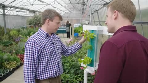 Aponic Vertical Aeroponic Food Growing Systems