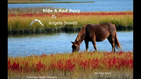 Ride a Red Pony by Angela Sewell