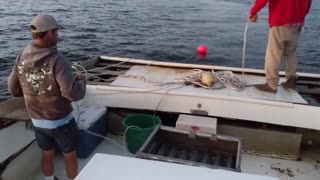 Dropping the Shrimp Fishing Net