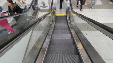A pair of Montgomery escalators at the Willowbrook Mall in Wayne, New Jersey