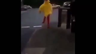 Chicken escapes from KFC