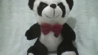 Cute black and white stuffed panda with a red tie, there's a ladybug! [Nature & Animals]