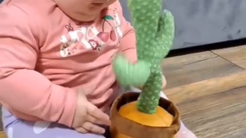 Funny Baby Video With Cactus