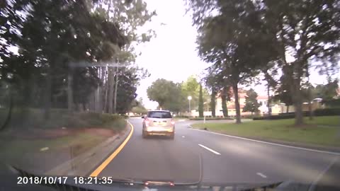 Florida driver cuts off vehicle, epic honking ensues