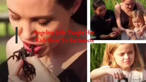 Angelina Jolie Taught Her Kids How To Eat Insects