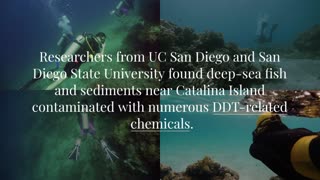 Toxic Legacies: The Lasting Threat of Historic DDT Dumping off Los Angeles Coast