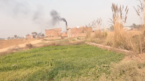 Beautiful House in Village under maintenance and beautiful view around the house