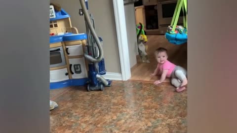 Cats,dog and babies /funniest videos
