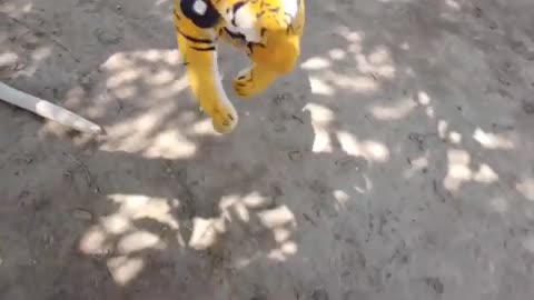 Fake Tiger Prank on Dog Run So Funny