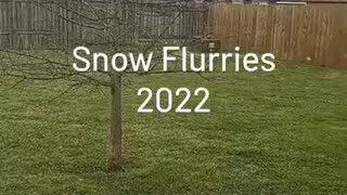 Snow Flurries