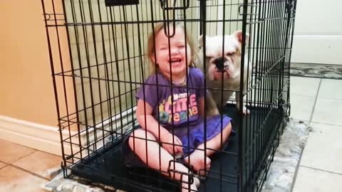 Cute Dogs and Babies are the Best Friends - Dogs is Babysitting Babies Video