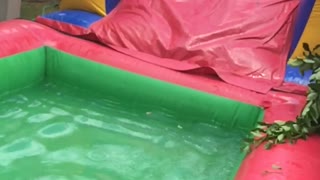 Man Tries to Slide Down Bounce House Into Pool But Falls Into Tree