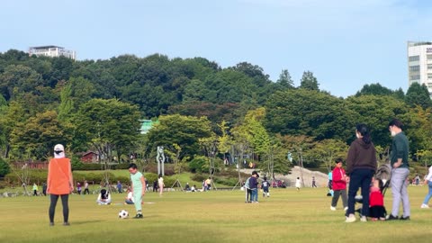 People Having Fun in a Park on a Sunny Day