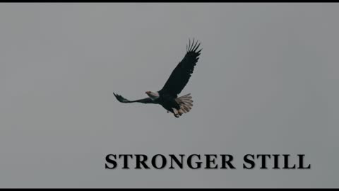 Pray USA 4/29/24 Stronger Still
