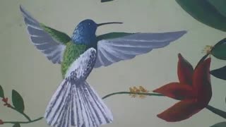 Hummingbird green, white and blue, next to a red flower, drawn on the wall [Nature & Animals]