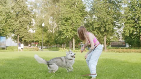 How Husky Dog Have Fun