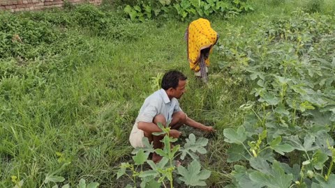 People living in the village and their morning routine | village life style | Indian Real Village