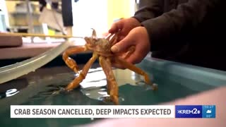 Fishermen fear going out of business after Alaska cancels snow and king crab harvest