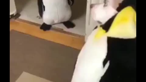 Just smile and wave boys, smile and wave